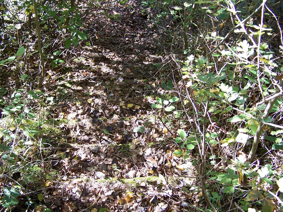 100_0900.JPG