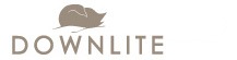 [downlite_logo[3].jpg]
