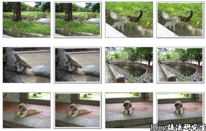 下圖為Google的Picasa網路相簿重複的圖片範例，每一張照片都重複。