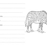 Diapositiva6.JPG
