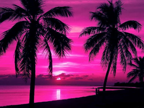 pinksunset.jpg