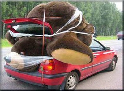 largecuddlytoy7.jpg?imgmax=800