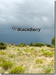 blackberry background 1
