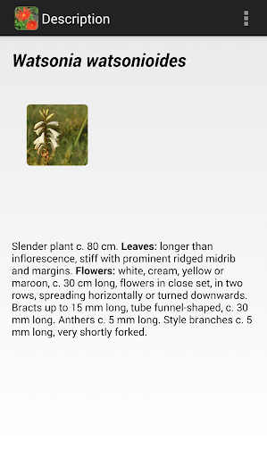 免費下載旅遊APP|Plants of Barberton Geotrail app開箱文|APP開箱王