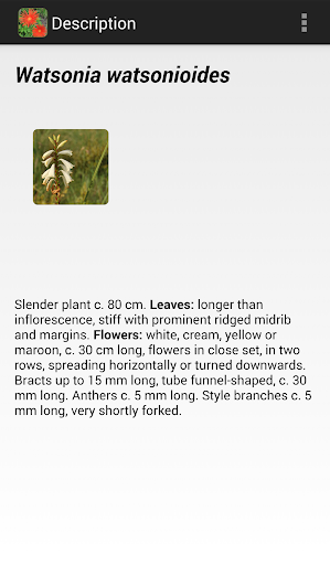 【免費旅遊App】Plants of Barberton Geotrail-APP點子