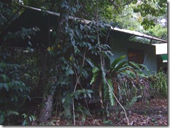 Safari Hut
