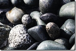HM Beach Pebbles