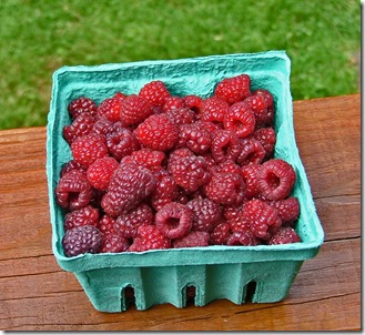rasberry basket