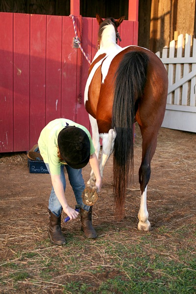 [Horseback riding lesson clean hooves[2].jpg]