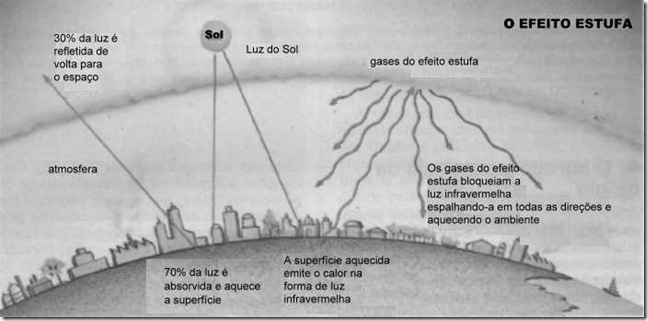 estufa1