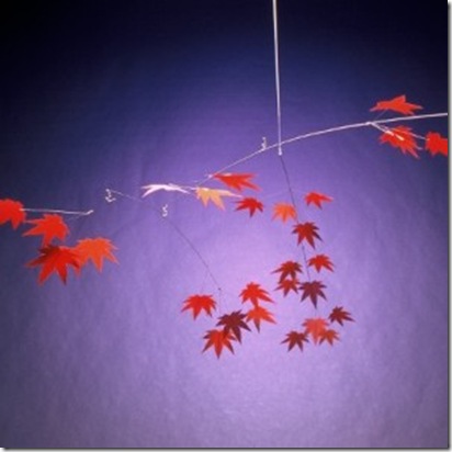 japanese maple 54 wide hang mobile gallery