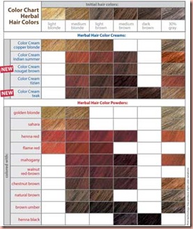 ColorChart-HairSM