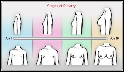 stages-puberty-female