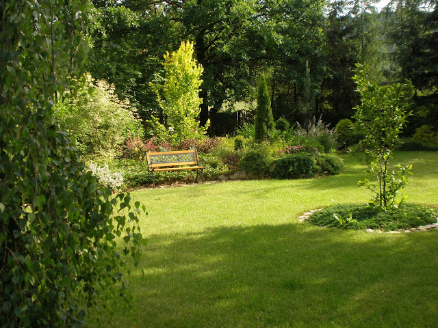 Ogród przy Szkółce STUS