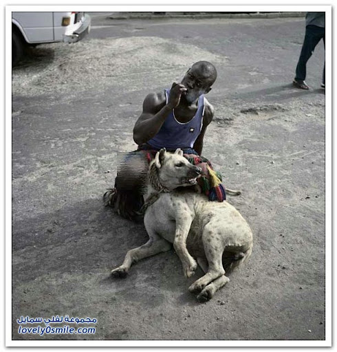 Unusual pets in Africa