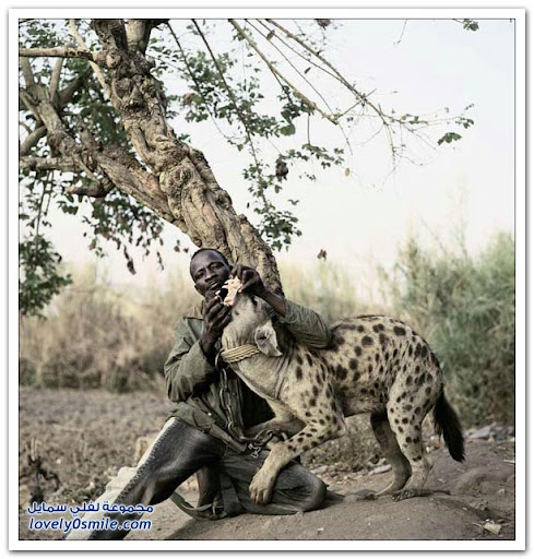 Unusual pets in Africa
