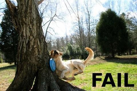 humor-failure-funny%20%281%29.jpg