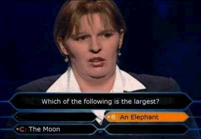 [dumbest-person-in-who-wants-to-be-a-millionaire.jpg]