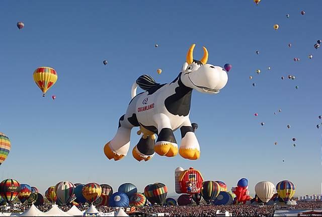 [balloons-festival-world's-giant-balloon (3).jpg]