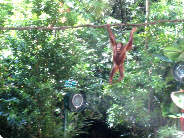 26 Nov 054 26 Nov 054