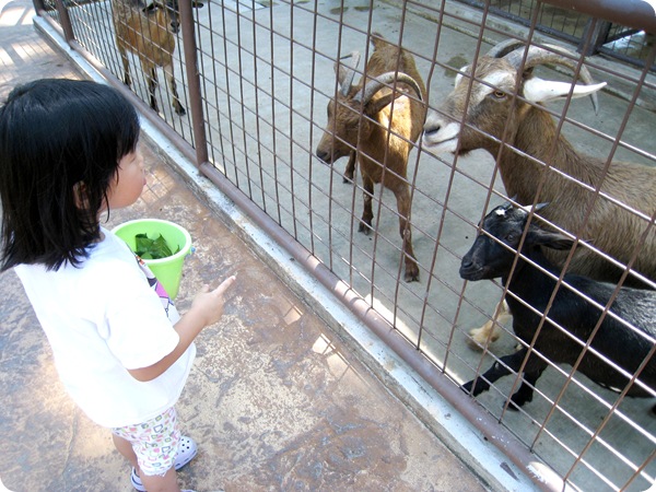 26 Nov 077 26 Nov 077