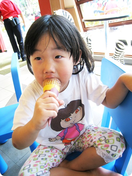 26 Nov 081 26 Nov 081