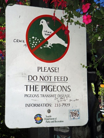 [Pigeon-Large[5].jpg]