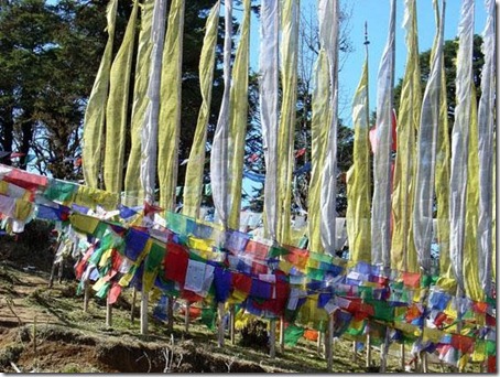 Bhutan Beauty  6