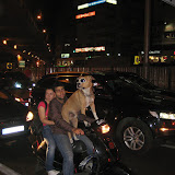 IMG_4846.resized.JPG