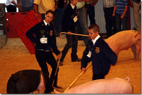 Hog Show 106 Hog Show 106