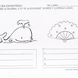 ballena.JPG