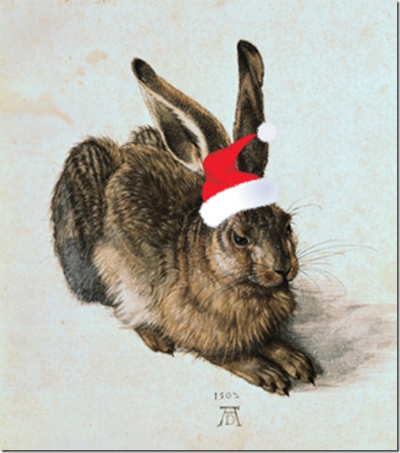 youg hare dürer 244583_320_art_R0-2