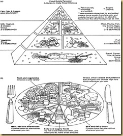 food-guide-pyramid.1