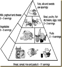 food-pyramid.1