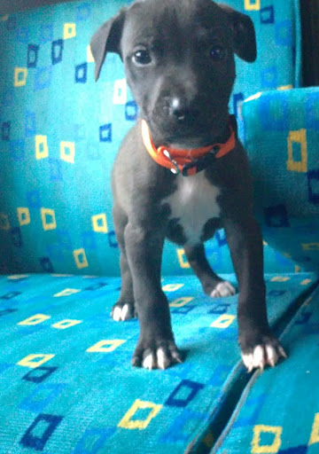 20100912072.JPG