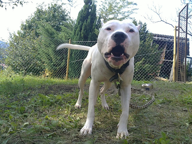 20100913002.JPG