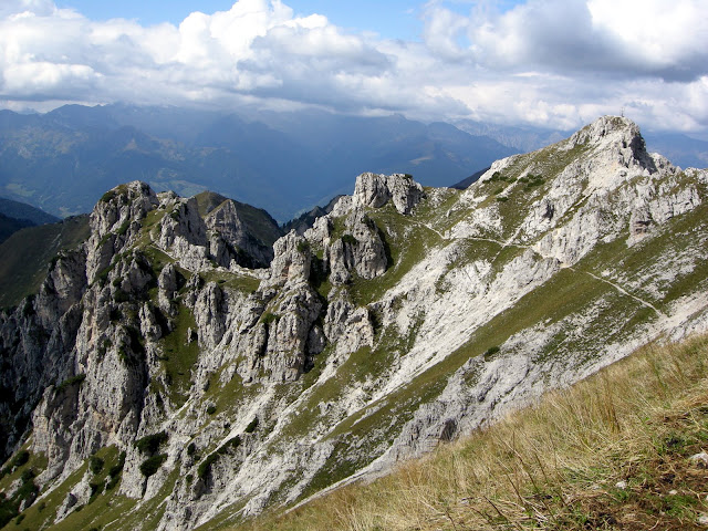 DSCN4780.JPG