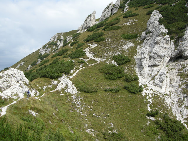 DSCN4756.JPG