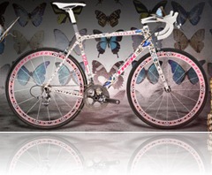 expensive-bicycle-butterfly-hirst