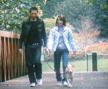 √無料でダウンロード！ イチロー 犬 一弓 880335-イチロー 犬 一弓