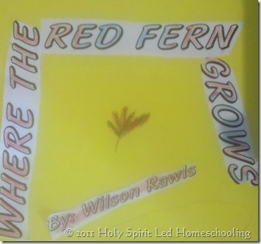 Our Where the Red Fern Grows Literature Unit Study & Lapbook