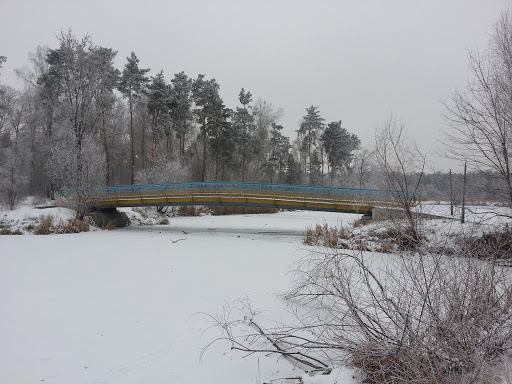 Мост в Парк Победы 1