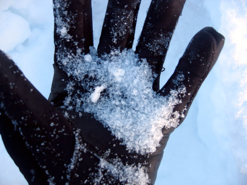 ““““““““