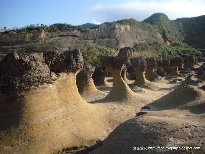 新北萬里-野柳地質公園-鬼斧神工的海風