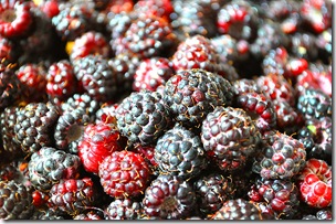 black raspberries-1