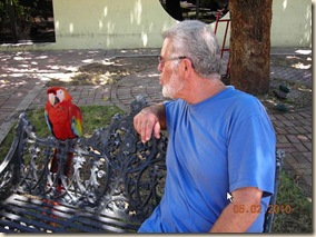 Bill with Toucan