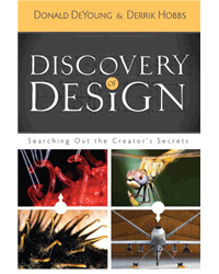 [discovery-design2.gif]