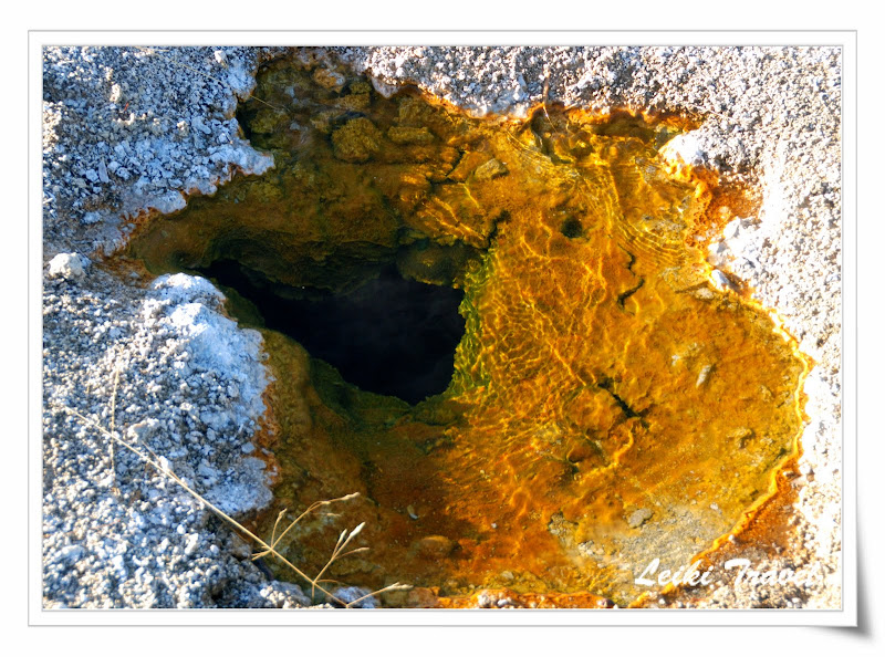 黃石公園 黃褐色是一種適合溫泉中生長的細菌形成