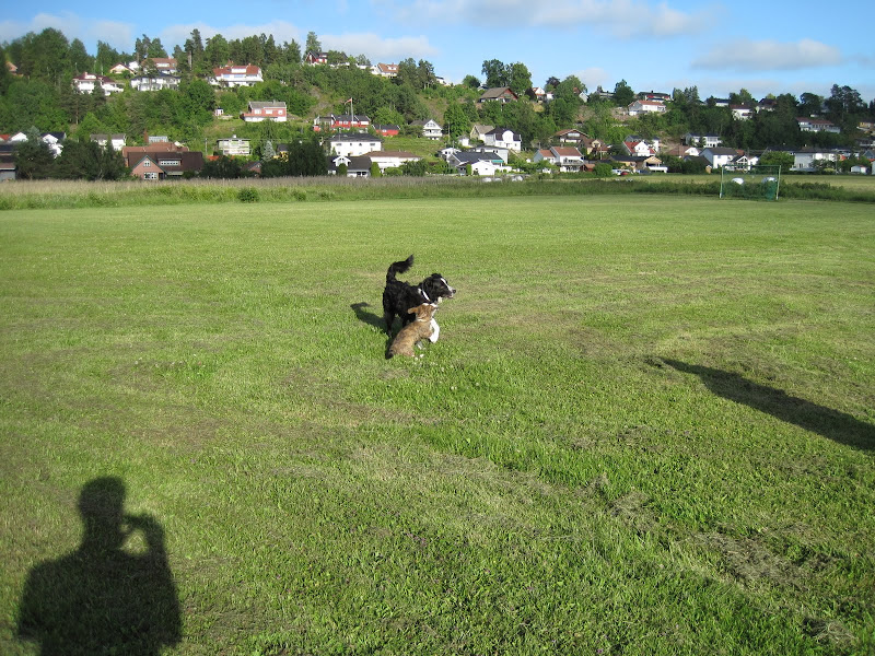 IMG_0098.JPG