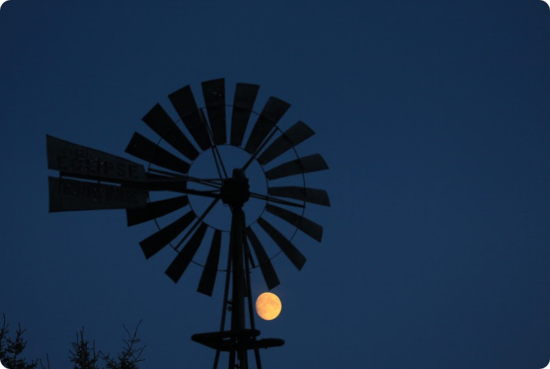 Windmill and the Moon-1